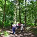 The sun-dappled woods of Dunwich, Cliff House Camping, Dunwich, Suffolk - 15th June 2019