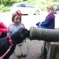 Tilly Dog has her nose stuffed into a cannon, Cliff House Camping, Dunwich, Suffolk - 15th June 2019