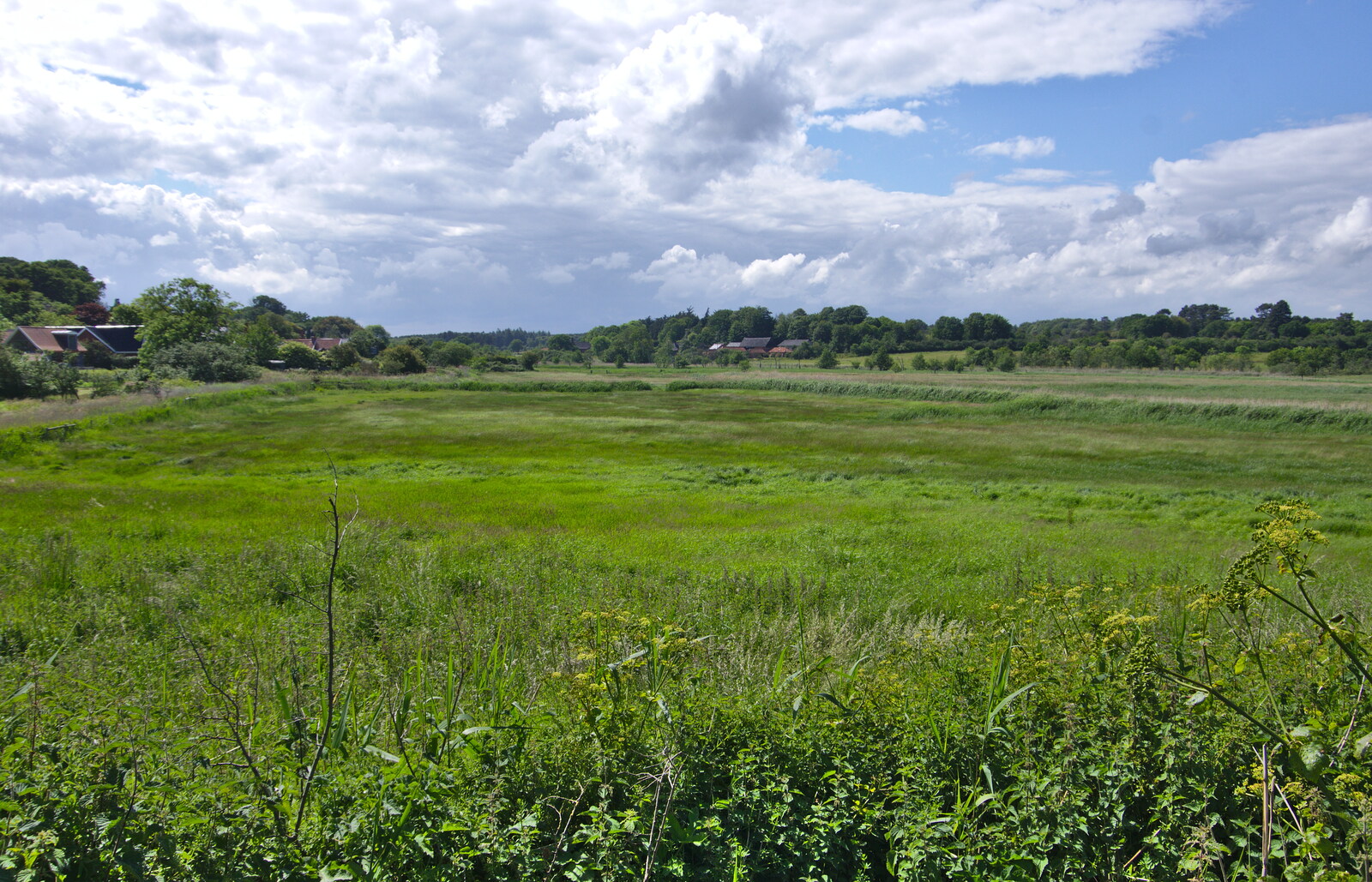 A view over the salt marshes from Cliff House Camping, Dunwich, Suffolk - 15th June 2019