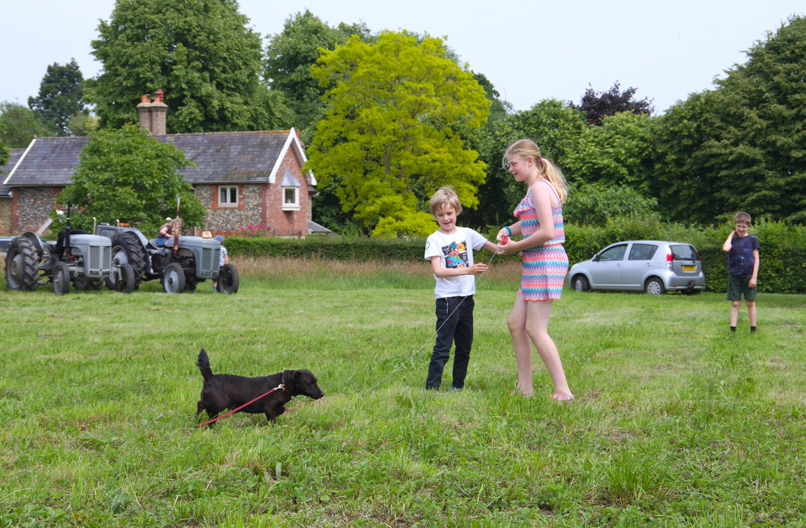 Harry has a go of Pip the dog from A Hog Roast on Little Green, Thrandeston, Suffolk - 23rd June 2019