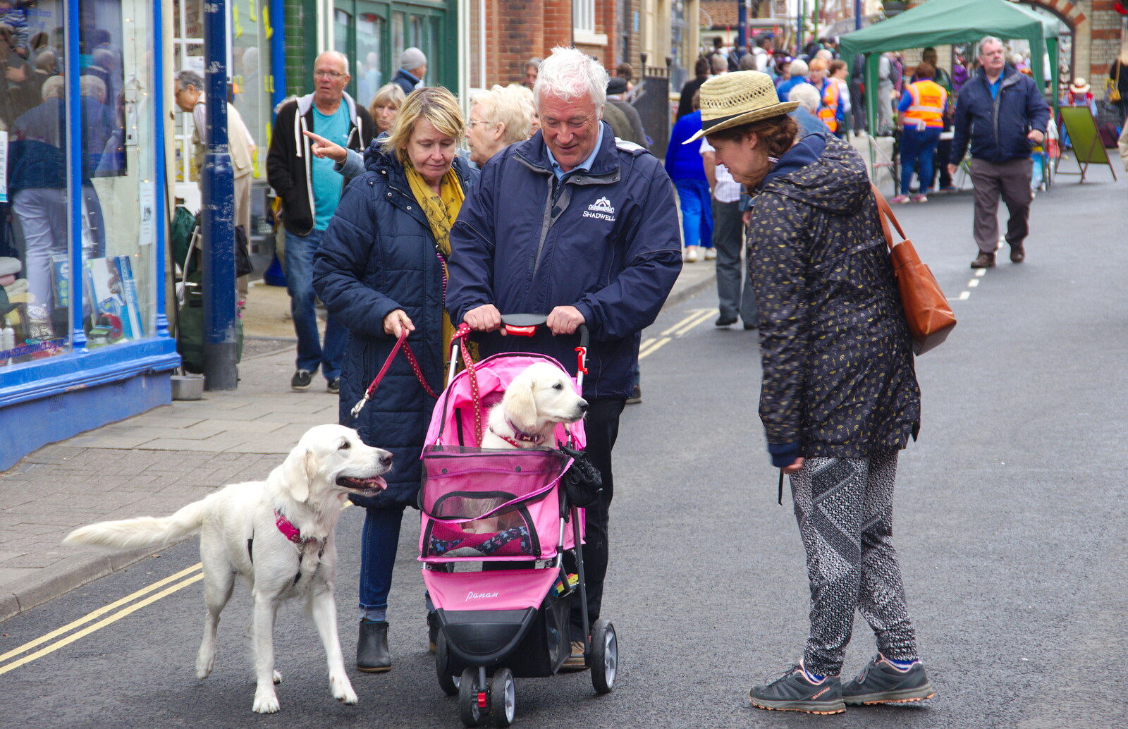 There's a puppy in a pram from Kelling Camping and the Potty Morris Festival, Sheringham, North Norfolk - 6th July 2019