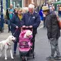 There's a puppy in a pram, Kelling Camping and the Potty Morris Festival, Sheringham, North Norfolk - 6th July 2019