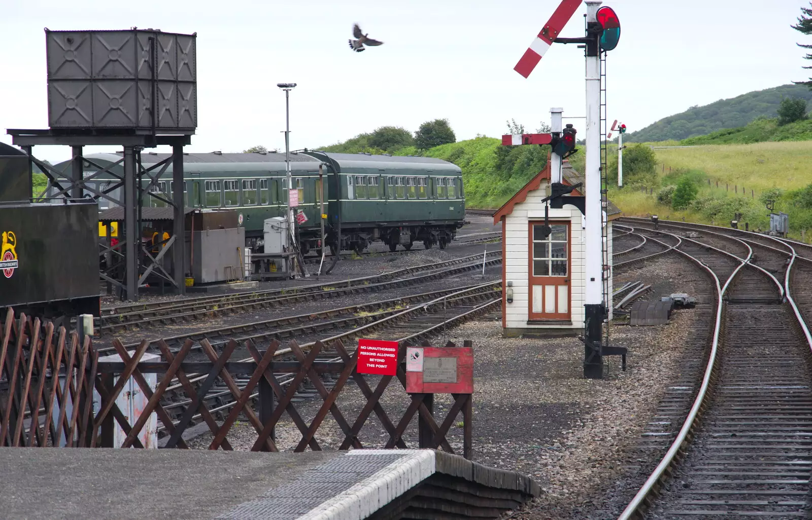 A pigeon takes flight at Weybourne, from Kelling Camping and the Potty Morris Festival, Sheringham, North Norfolk - 6th July 2019