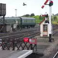 A pigeon takes flight at Weybourne, Kelling Camping and the Potty Morris Festival, Sheringham, North Norfolk - 6th July 2019