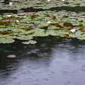 Rings of rain on the pond, Kelling Camping and the Potty Morris Festival, Sheringham, North Norfolk - 6th July 2019