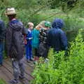 We look into a pond, Kelling Camping and the Potty Morris Festival, Sheringham, North Norfolk - 6th July 2019