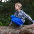 Harry in a tree, Kelling Camping and the Potty Morris Festival, Sheringham, North Norfolk - 6th July 2019