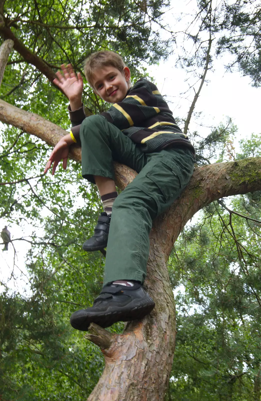 Fred waves whilst up a tree, from Kelling Camping and the Potty Morris Festival, Sheringham, North Norfolk - 6th July 2019