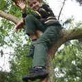 Fred waves whilst up a tree, Kelling Camping and the Potty Morris Festival, Sheringham, North Norfolk - 6th July 2019