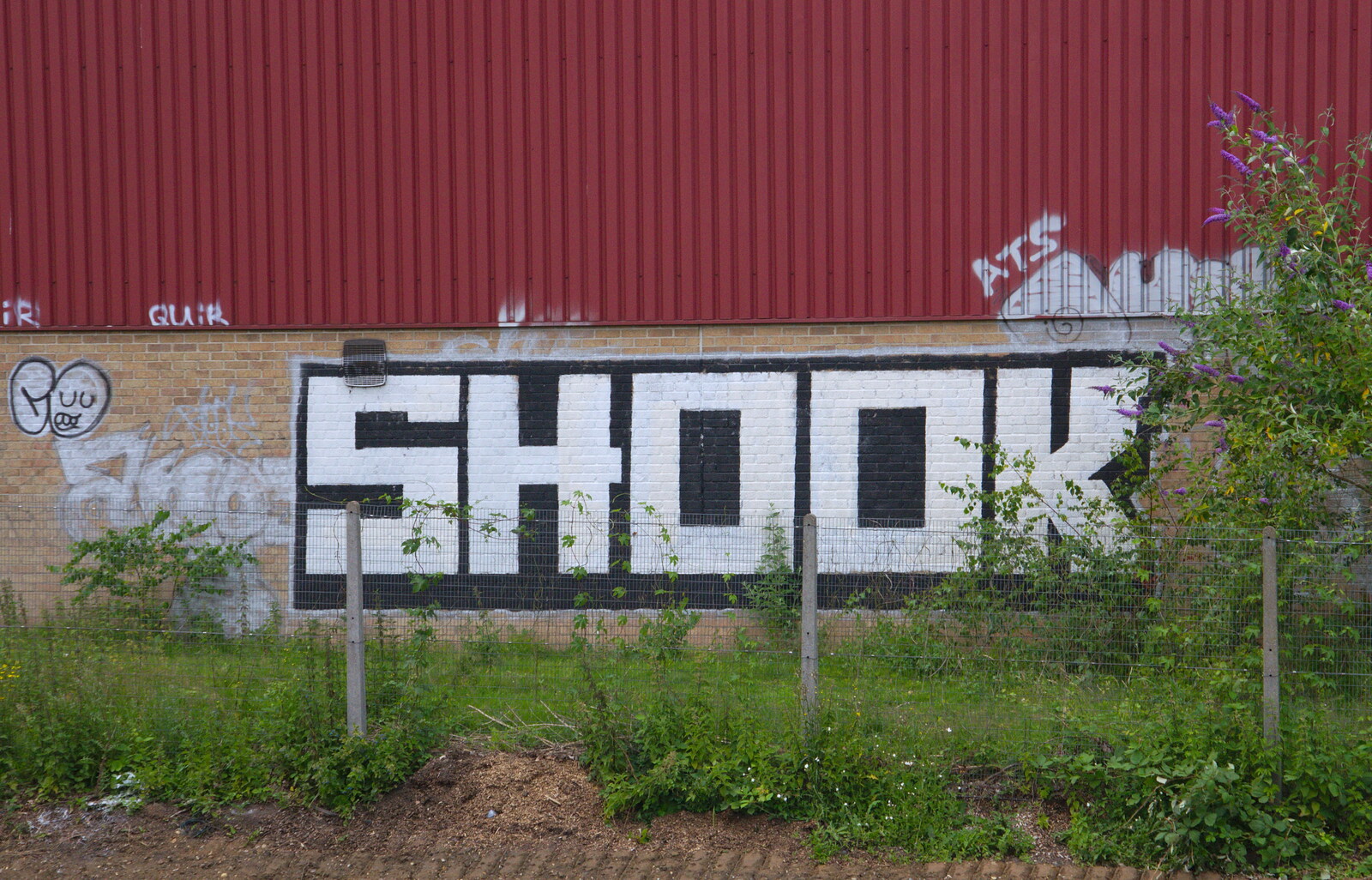 'Shook' graffiti from Kelling Camping and the Potty Morris Festival, Sheringham, North Norfolk - 6th July 2019