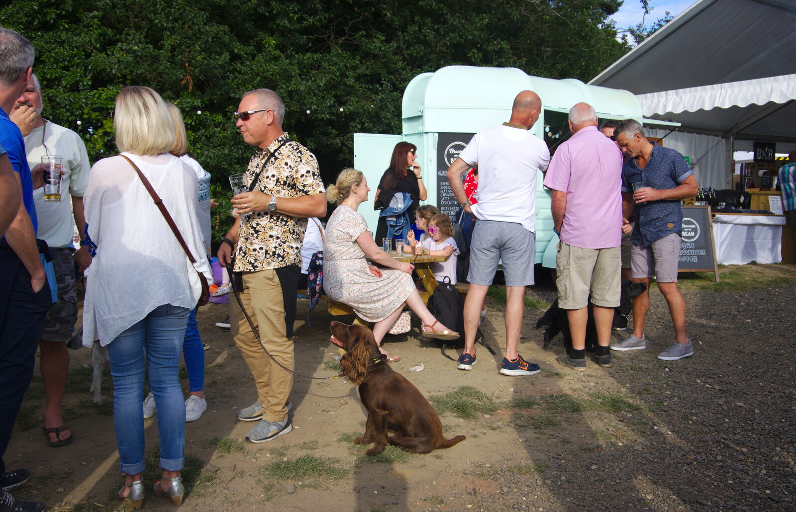 A dog looks up eagerly from The Shakesbeer Festival, Star Wing Brewery, Redgrave, Suffolk - 13th July 2019