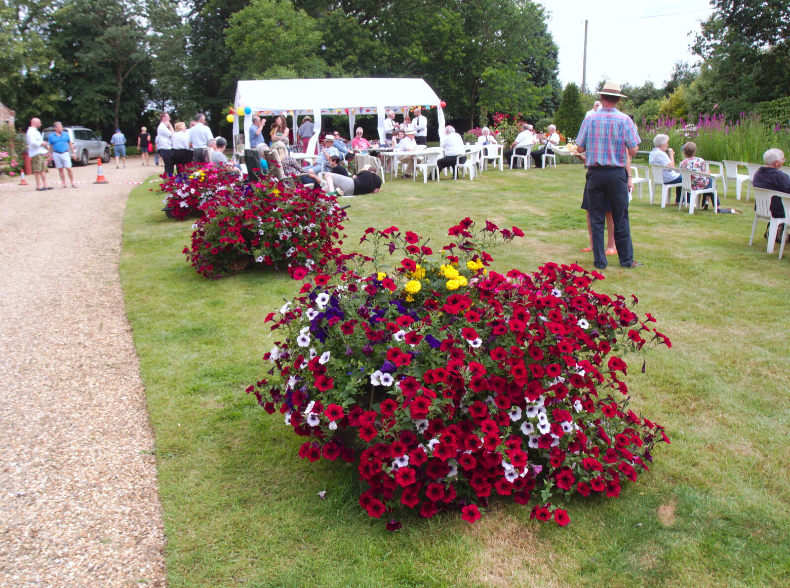 There are some great flowers in the garden from GSB at the Summer Fete, Market Weston, Suffolk - 20th July 2019