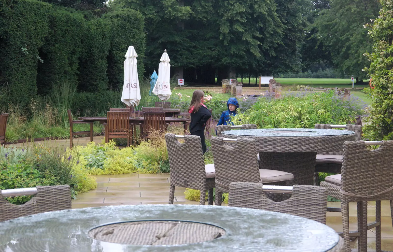 Harry roams around outside in the rain, from Anita and Alex's Leaving Do, The Oaksmere, Brome, Suffolk - 27th July 2019