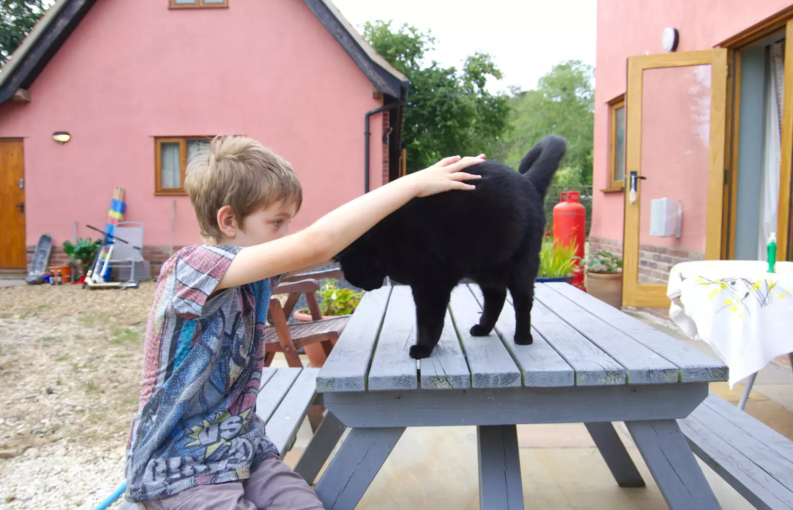 Fred gives Millie a stroke, from A Summer Party, Brome, Suffolk - 3rd August 2019