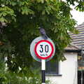 There's a cool crow on a speed-limit sign, Jimmy and Catherina's, Ballsbridge, Dublin - 10th August 2019