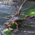 A tree stump turned into a dragon, Busking in Temple Bar, Dublin, Ireland - 12th August 2019