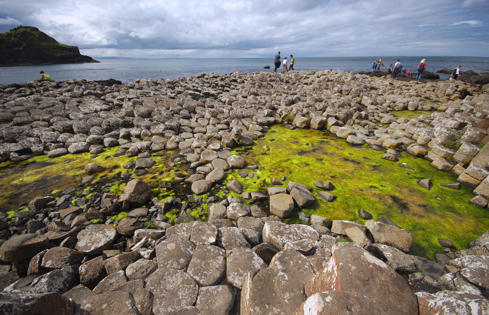 Bright green algae amongs the lava columns from The Giant's Causeway, Bushmills, County Antrim, Northern Ireland - 14th August 2019