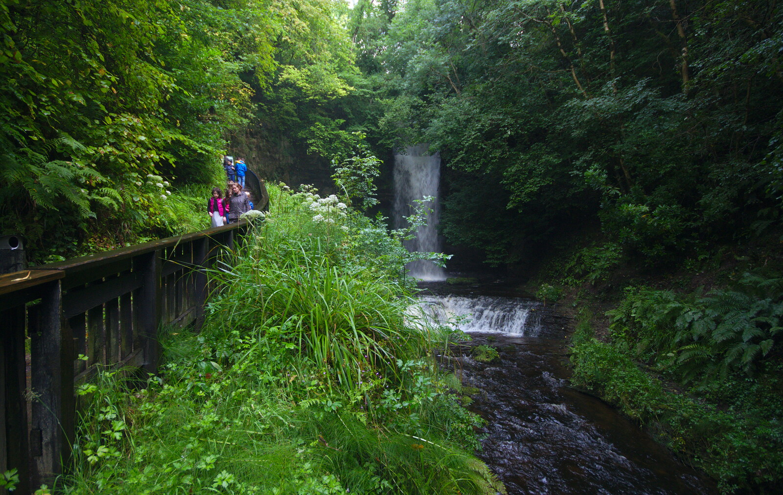 The leafy glades of Glencar waterfall from Glencar Waterfall and Parke's Castle, Kilmore, Leitrim, Ireland - 18th August 2019