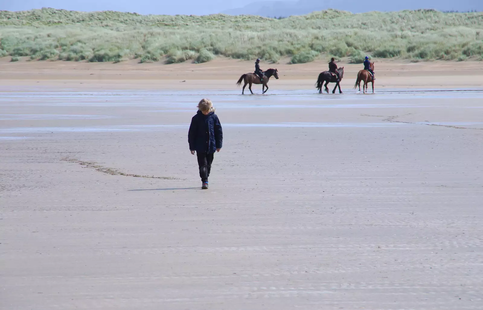 Harry stumps around on the sand, from Mullaghmore Beach and Marble Arch Caves, Sligo and Fermanagh, Ireland - 19th August 2019