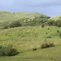 Cows in the hills, Mullaghmore Beach and Marble Arch Caves, Sligo and Fermanagh, Ireland - 19th August 2019