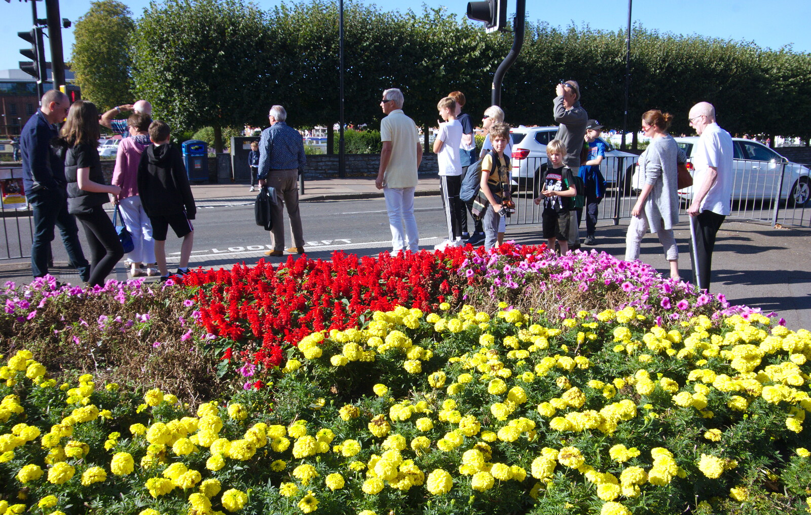 We wait to cross the road by a vivid flower bed from A Boat Trip on the River, Stratford upon Avon, Warwickshire - 14th September 2019