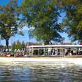 Another pleasure boat has a flotilla of swans, A Boat Trip on the River, Stratford upon Avon, Warwickshire - 14th September 2019