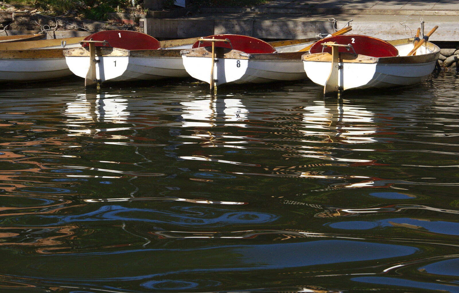 Rowing boats bob about on the Avon from A Boat Trip on the River, Stratford upon Avon, Warwickshire - 14th September 2019