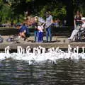 There's a massive swan frenzy, A Boat Trip on the River, Stratford upon Avon, Warwickshire - 14th September 2019