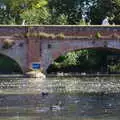 Thousands of feathers float on the water, A Boat Trip on the River, Stratford upon Avon, Warwickshire - 14th September 2019