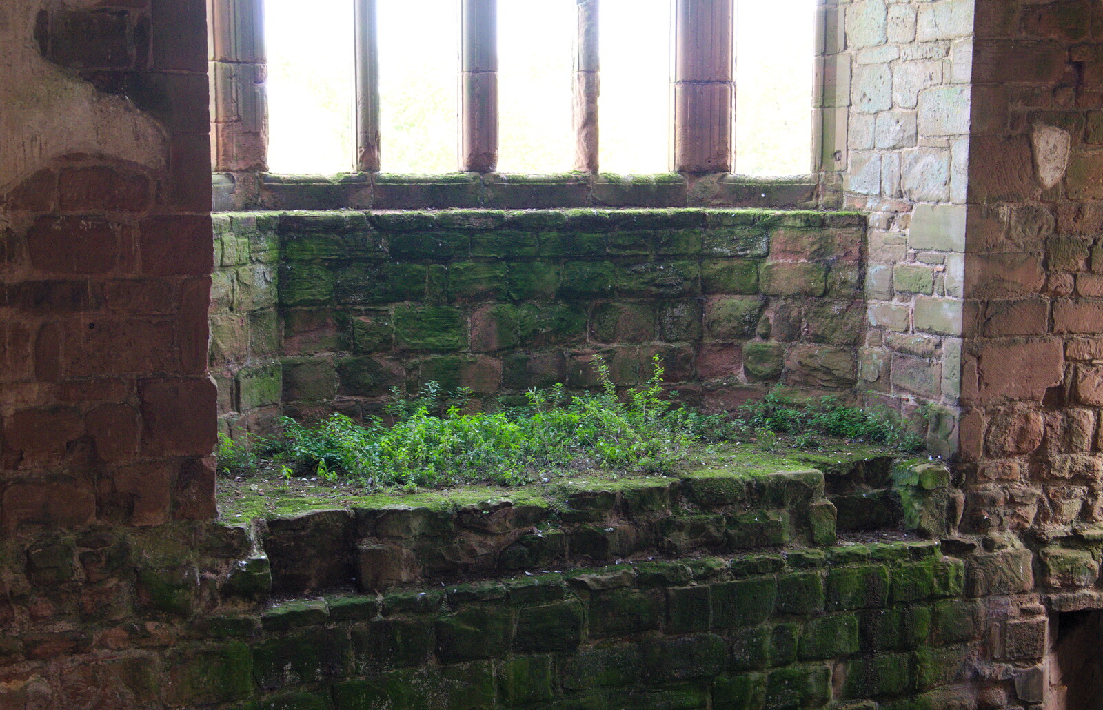 Plants grow on what would have been a window seat from Kenilworth Castle and the 69th Entry Reunion Dinner, Stratford, Warwickshire - 14th September 2019