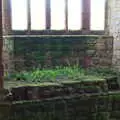 Plants grow on what would have been a window seat, Kenilworth Castle and the 69th Entry Reunion Dinner, Stratford, Warwickshire - 14th September 2019