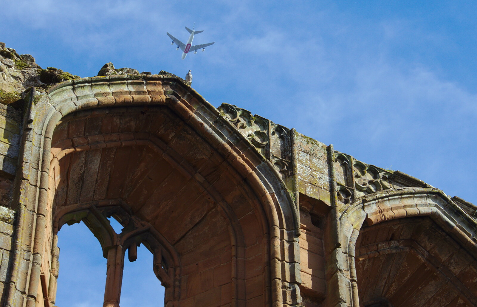 A plane flies over as a pigeon sits on a wall from Kenilworth Castle and the 69th Entry Reunion Dinner, Stratford, Warwickshire - 14th September 2019