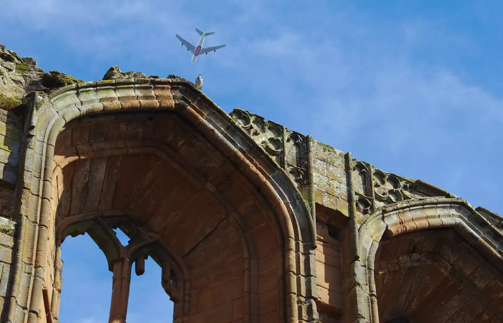 A plane flies over as a pigeon sits on a wall, from Kenilworth Castle and the 69th Entry Reunion Dinner, Stratford, Warwickshire - 14th September 2019