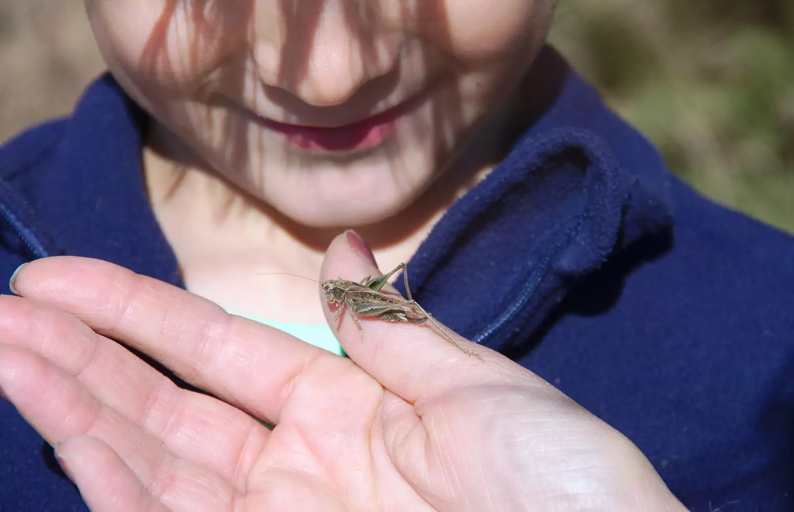 Harry has a close-up look at a grasshopper, from A Trip to the South Coast, Highcliffe, Dorset - 20th September 2019