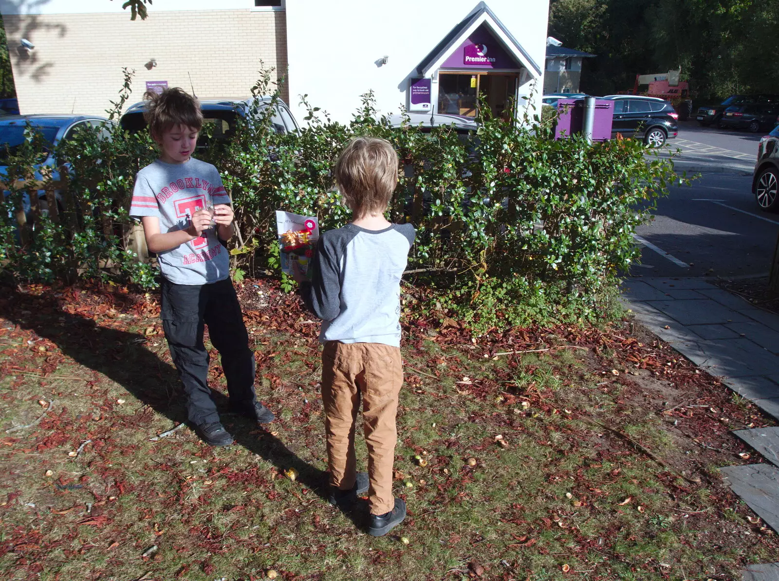 The boys look for yet more conkers, from A Day with Sean and Michelle, Walkford, Dorset - 21st September 2019