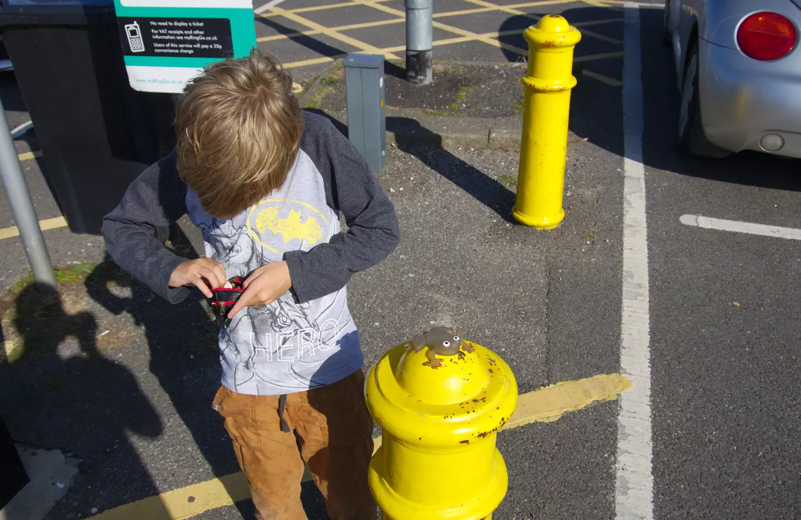 Harry looks for money, and finds a sticky frog, from A Day with Sean and Michelle, Walkford, Dorset - 21st September 2019