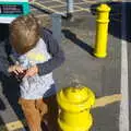 Harry looks for money, and finds a sticky frog, A Day with Sean and Michelle, Walkford, Dorset - 21st September 2019