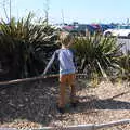 Harry finds a massively-unsuitable stick, A Day with Sean and Michelle, Walkford, Dorset - 21st September 2019