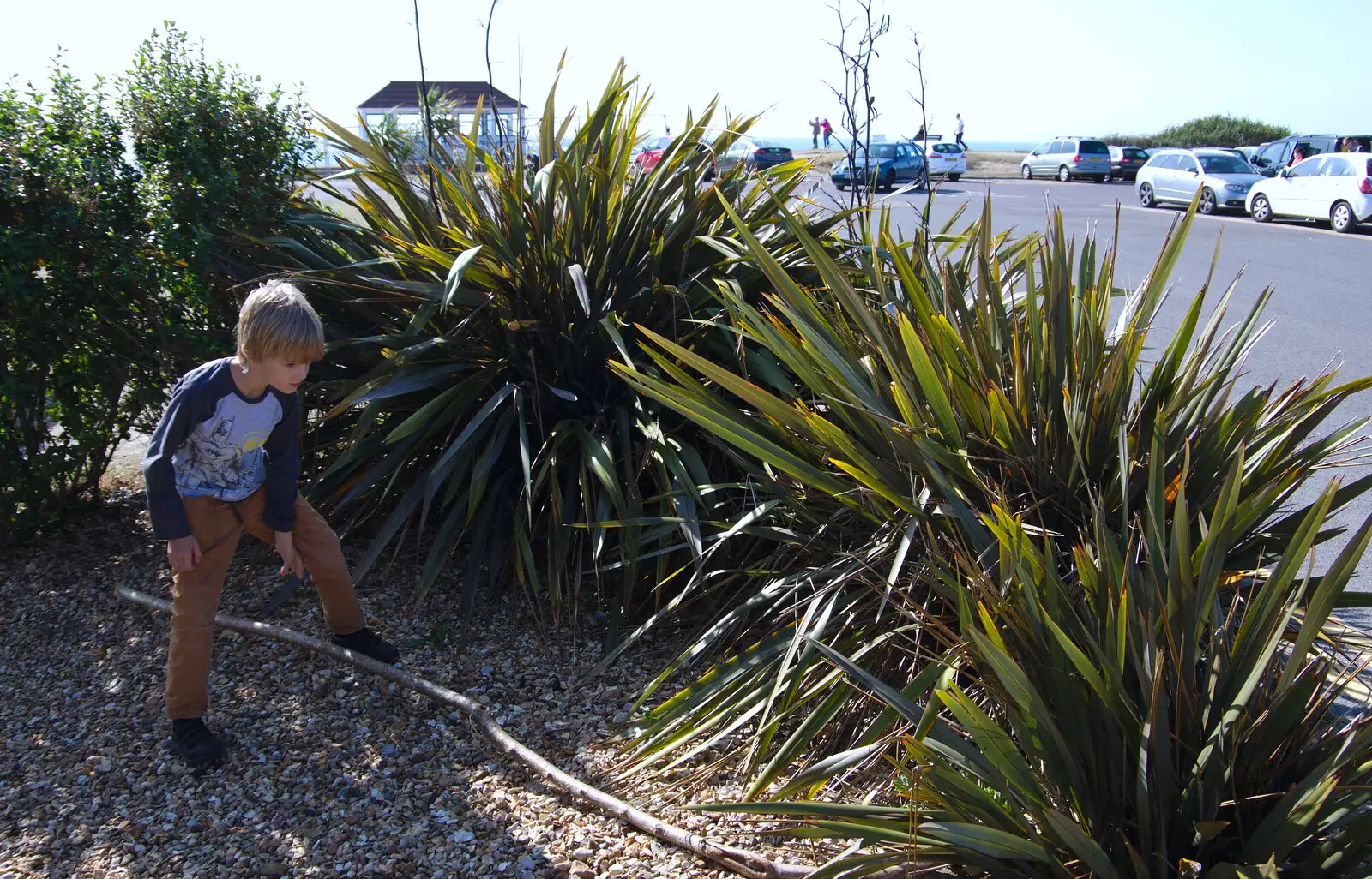 Harry messes around with his new stick, from A Day with Sean and Michelle, Walkford, Dorset - 21st September 2019