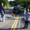 Harry's got one of the dogs on a lead, A Day with Sean and Michelle, Walkford, Dorset - 21st September 2019