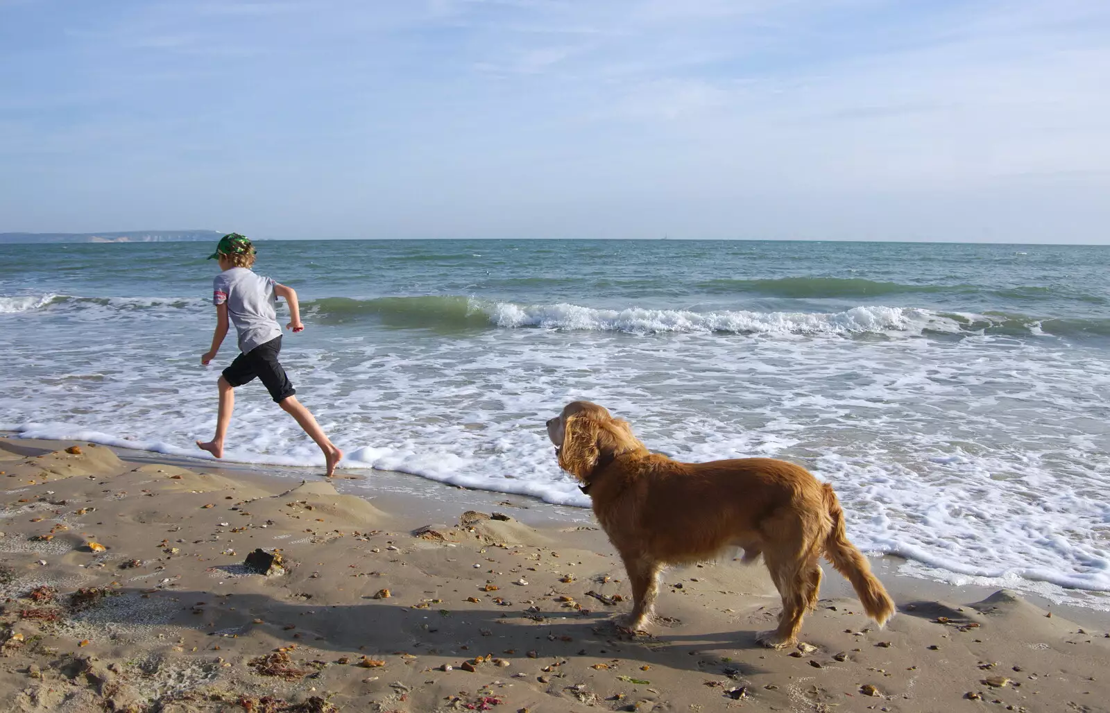 Fred runs off as Barney looks on, from A Day with Sean and Michelle, Walkford, Dorset - 21st September 2019