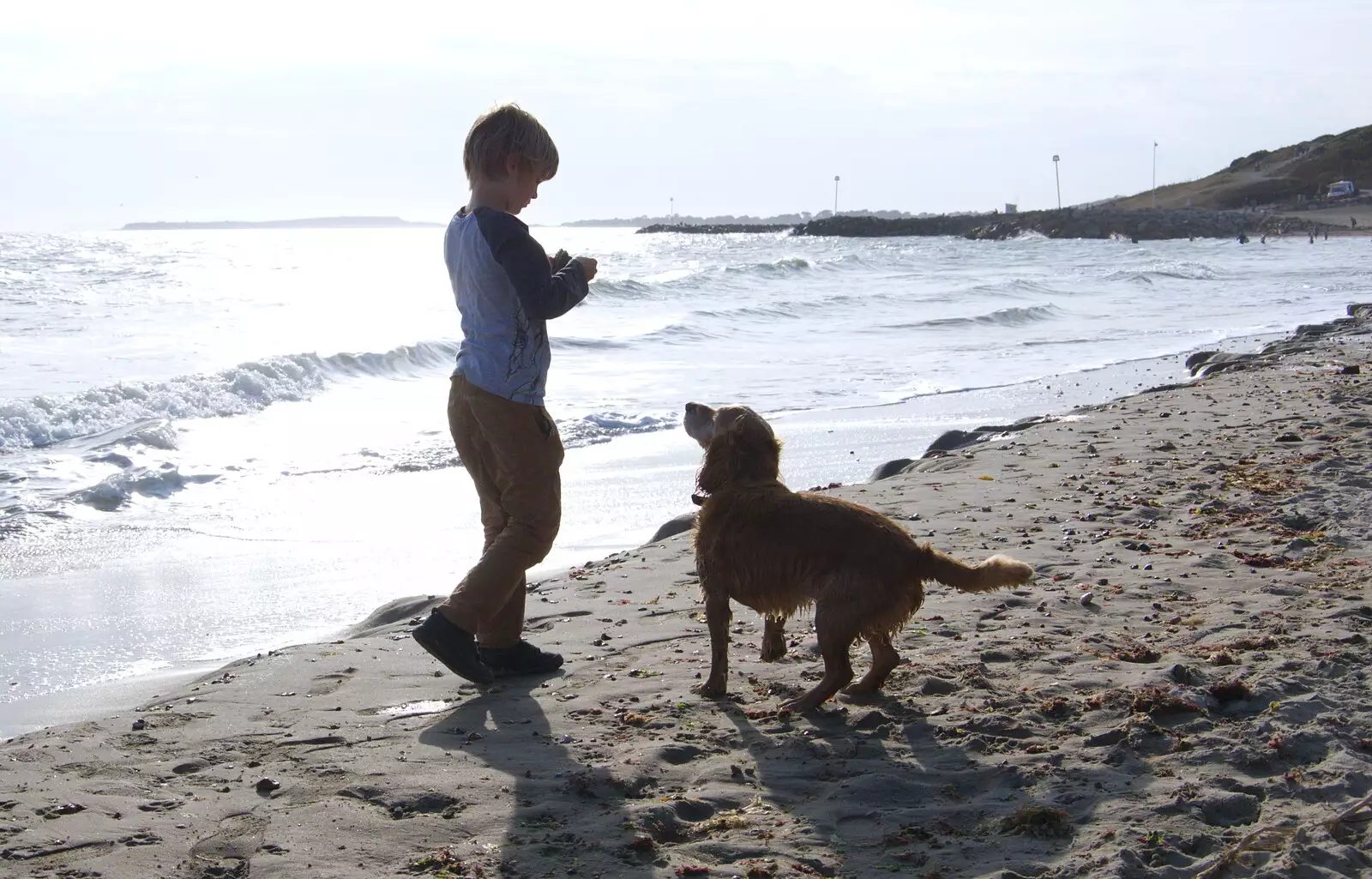 Harry and Barney, from A Day with Sean and Michelle, Walkford, Dorset - 21st September 2019