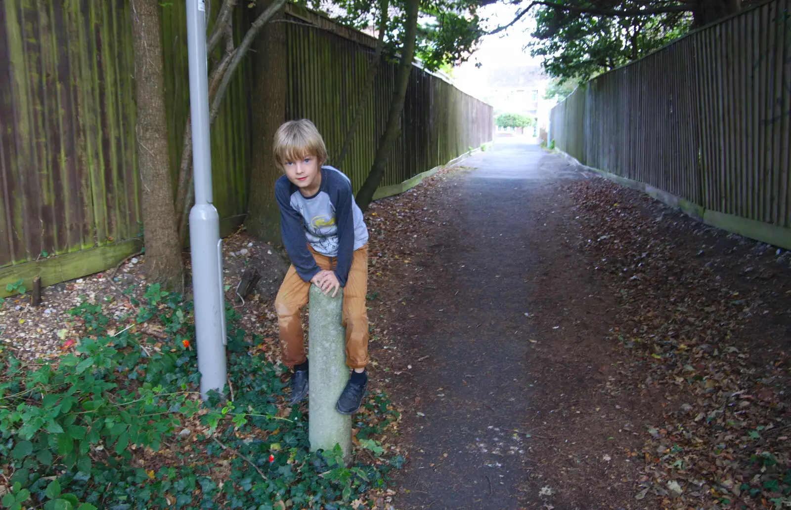 Harry on a bollard, from A Day with Sean and Michelle, Walkford, Dorset - 21st September 2019