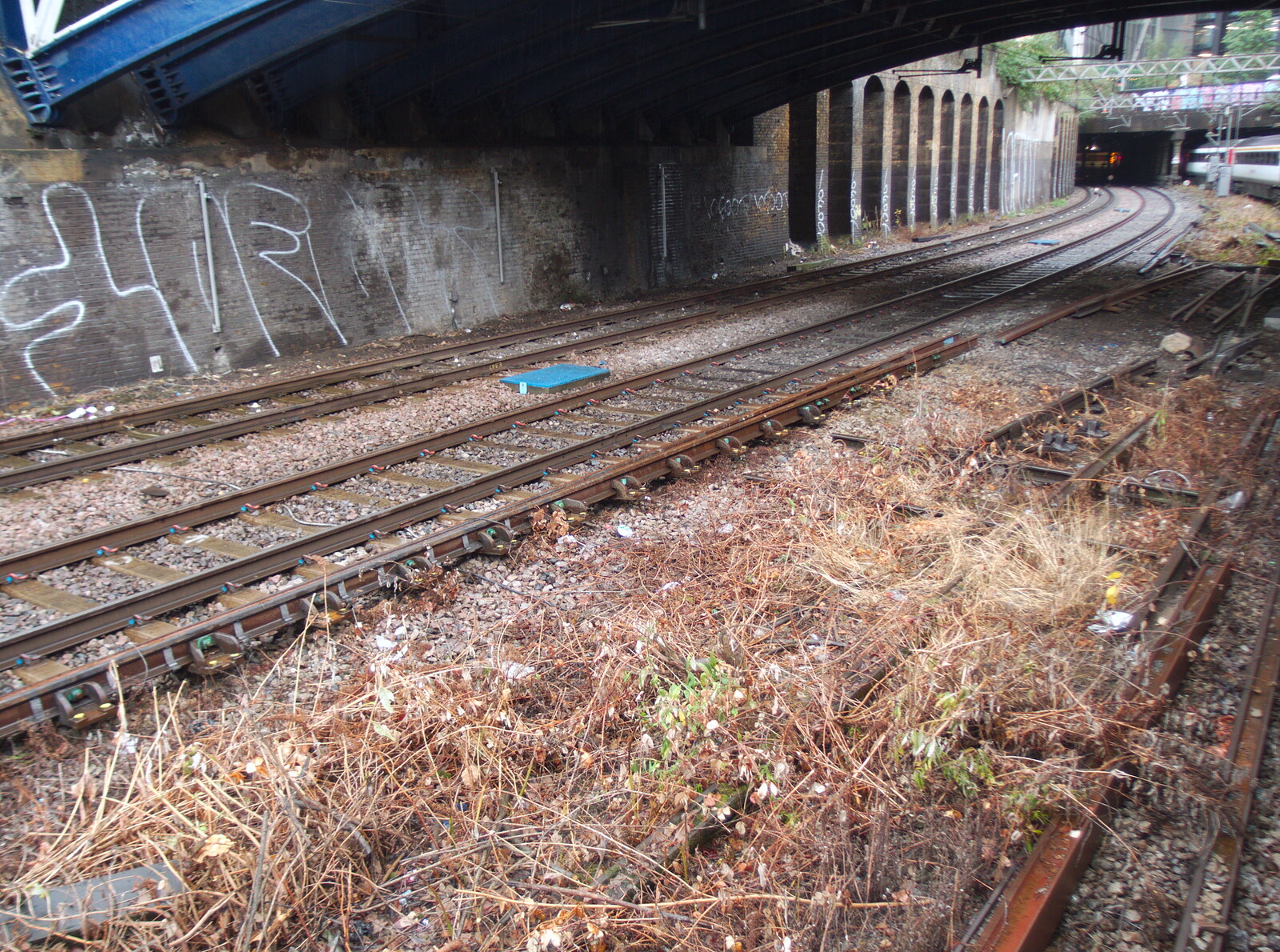 Parched weeds outside Liverpool Street station from Fred's Birthday and a GSB Duck-Race Miscellany, Brome, Eye and London - 28th September 2019