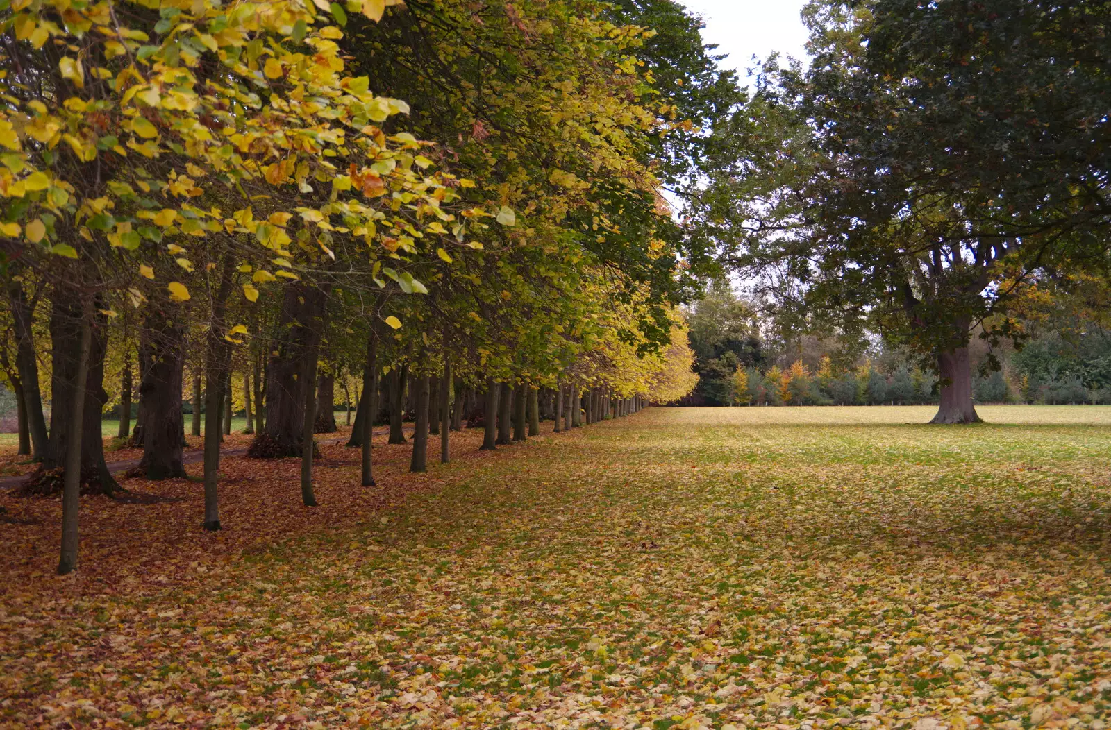 Autumn leaves everywhere, from Day of the Dead Party at the Oaksmere, Brome, Suffolk - 2nd November 2019