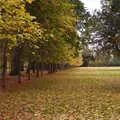 Autumn leaves everywhere, Day of the Dead Party at the Oaksmere, Brome, Suffolk - 2nd November 2019