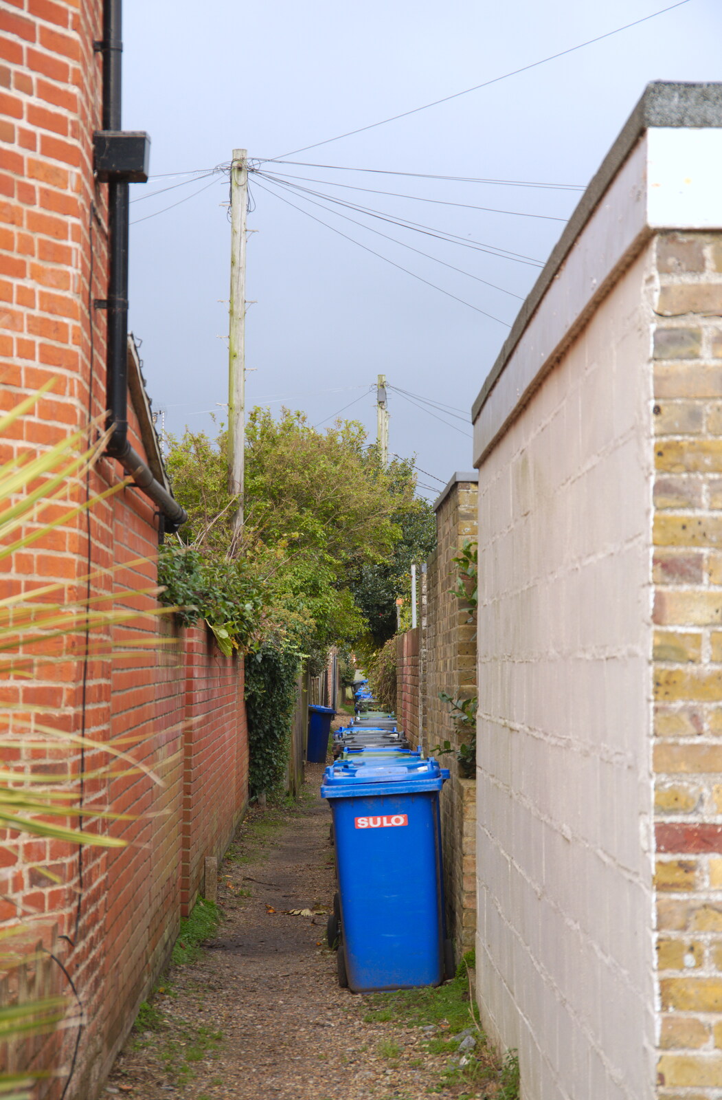 Southwold wheelie bins in an alley from A Night at the Crown Hotel, Southwold, Suffolk - 8th November 2019
