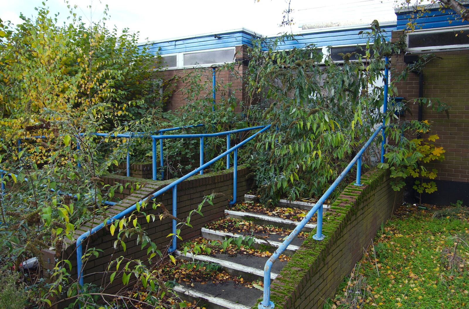 The steps are fairly overgrown from Exam Day Dereliction, Ipswich, Suffolk - 13th November 2019