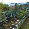 The steps are fairly overgrown, Exam Day Dereliction, Ipswich, Suffolk - 13th November 2019