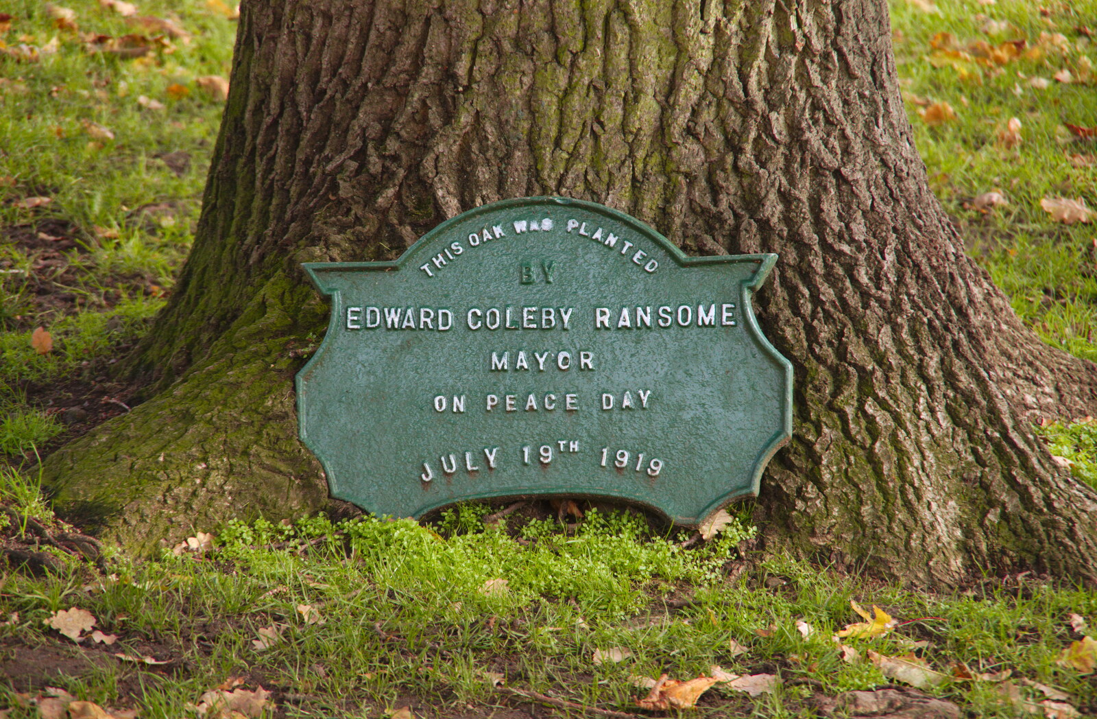 A 100-year old oak tree, and plaque for a mayor from Exam Day Dereliction, Ipswich, Suffolk - 13th November 2019